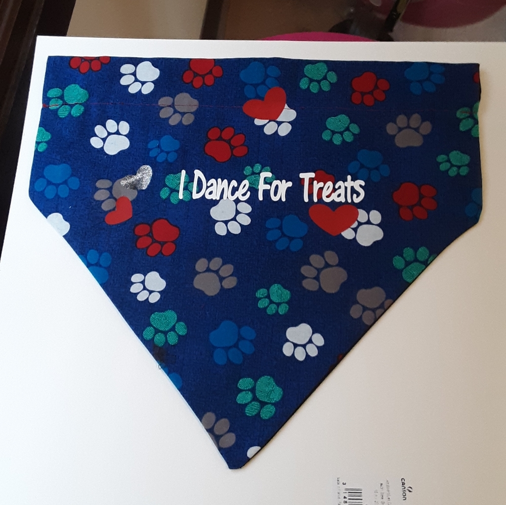 Dog collar and attached handkerchief